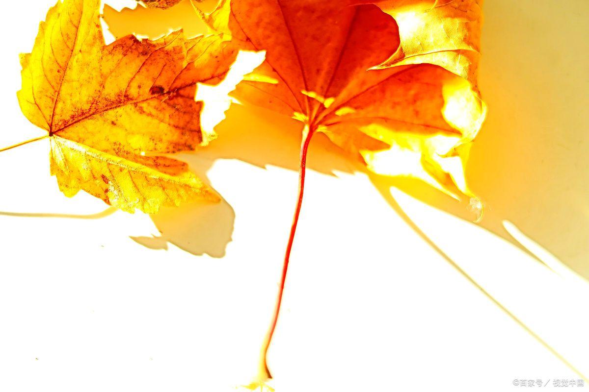 富人的思维方式 富人的思维方式