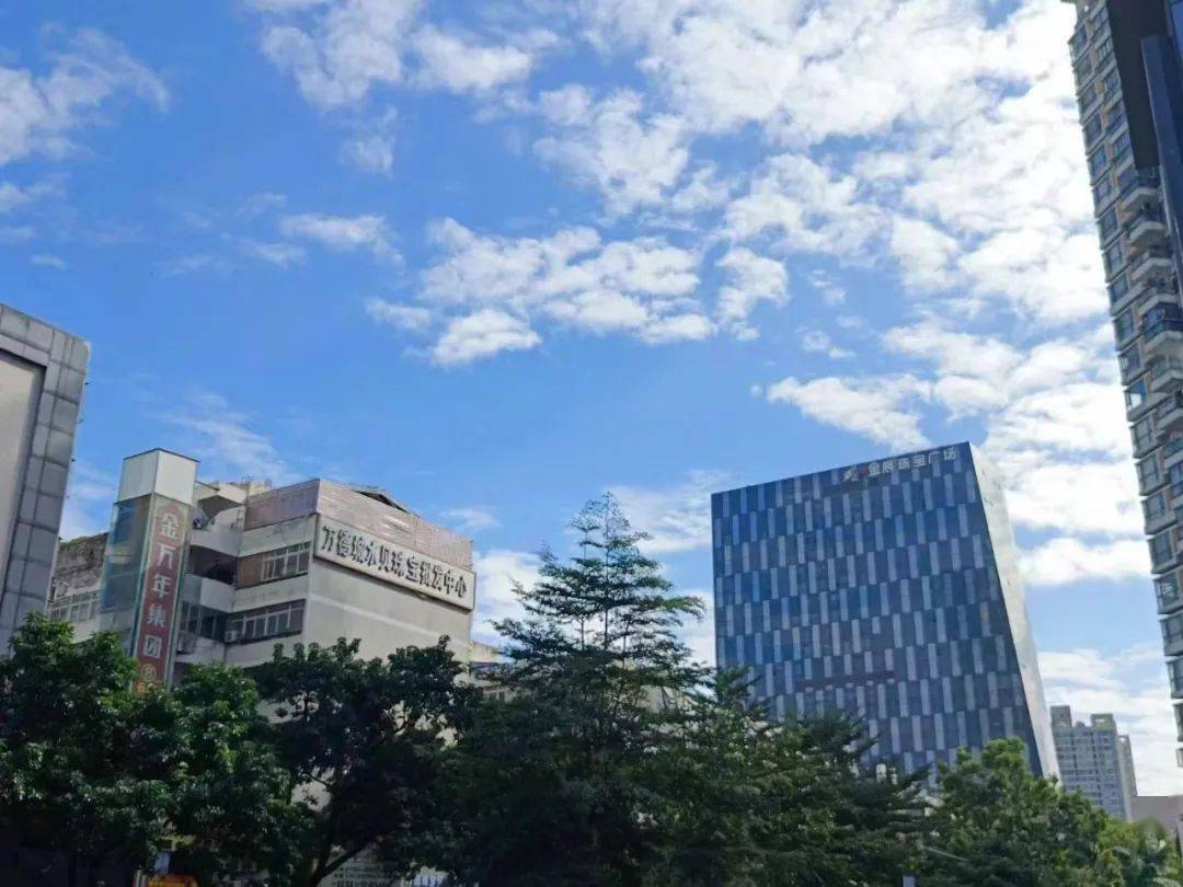 年轻人热衷淘金
