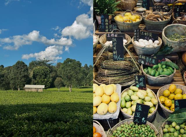 年底辞职是大忌