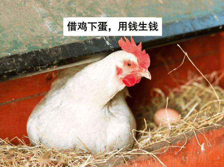 钱生钱的40个方法