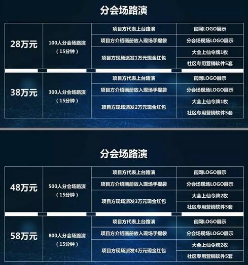 迪拜全球区块链大会招商手册中的项目参会报价