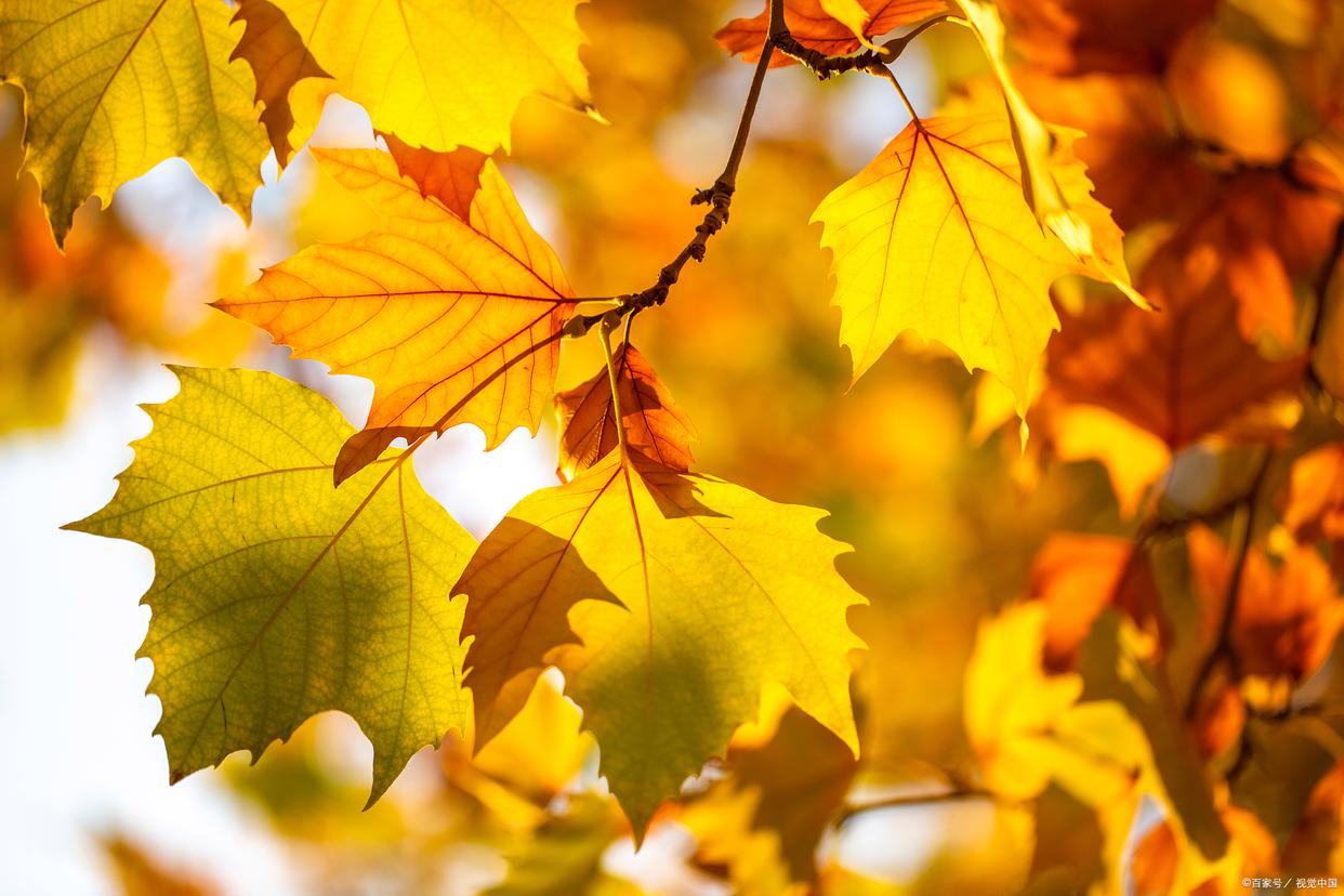 富人的思维方式 富人的思维方式