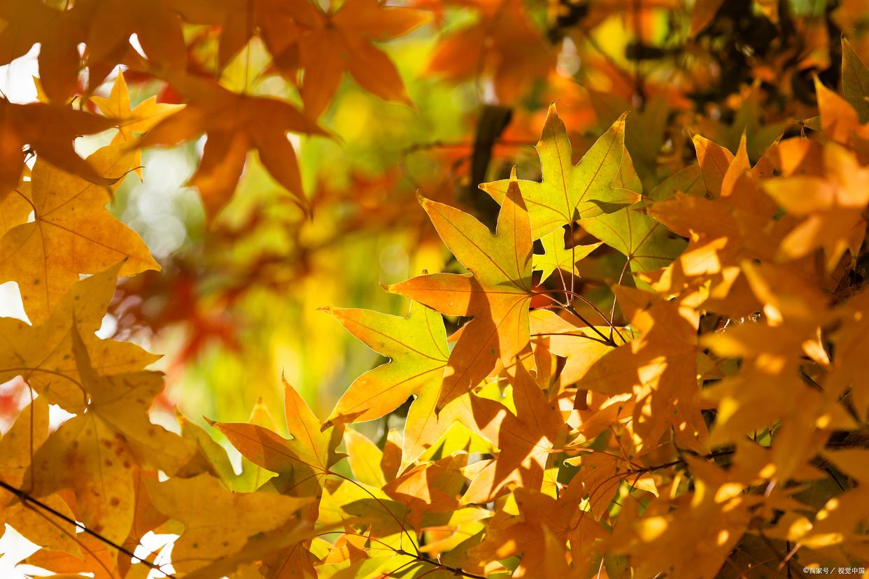 富人的思维方式 富人的思维方式