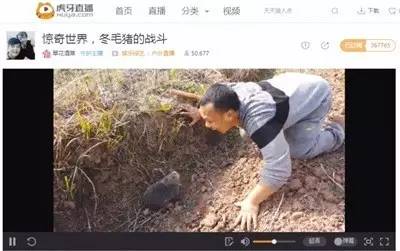 熊猫关键词工具