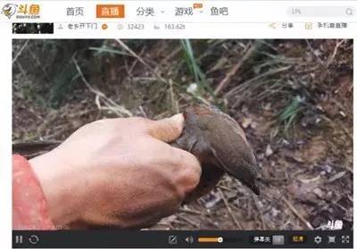 熊猫关键词工具