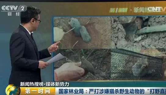 熊猫关键词工具