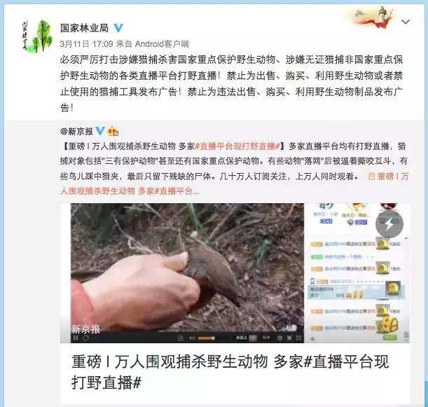 熊猫关键词工具