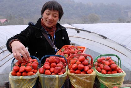 国家扶持的免费创业项目 国家扶持的免费创业项目