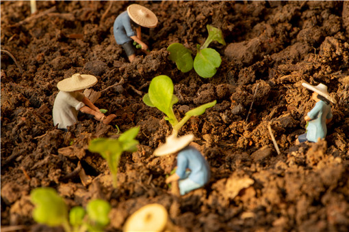 农民创业贷款怎么贷 农民创业贷款怎么贷