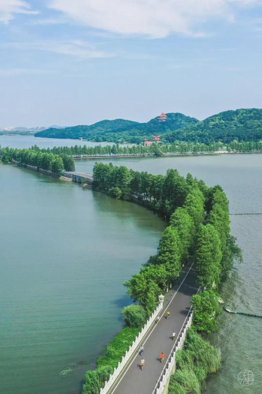 重庆拍卖公司十大排名