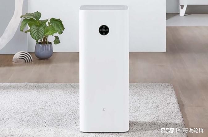 过年在家干什么