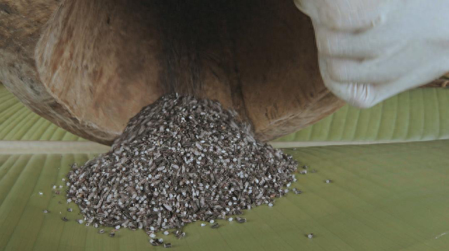 大城市创业成功的事例 大城市创业成功的事例