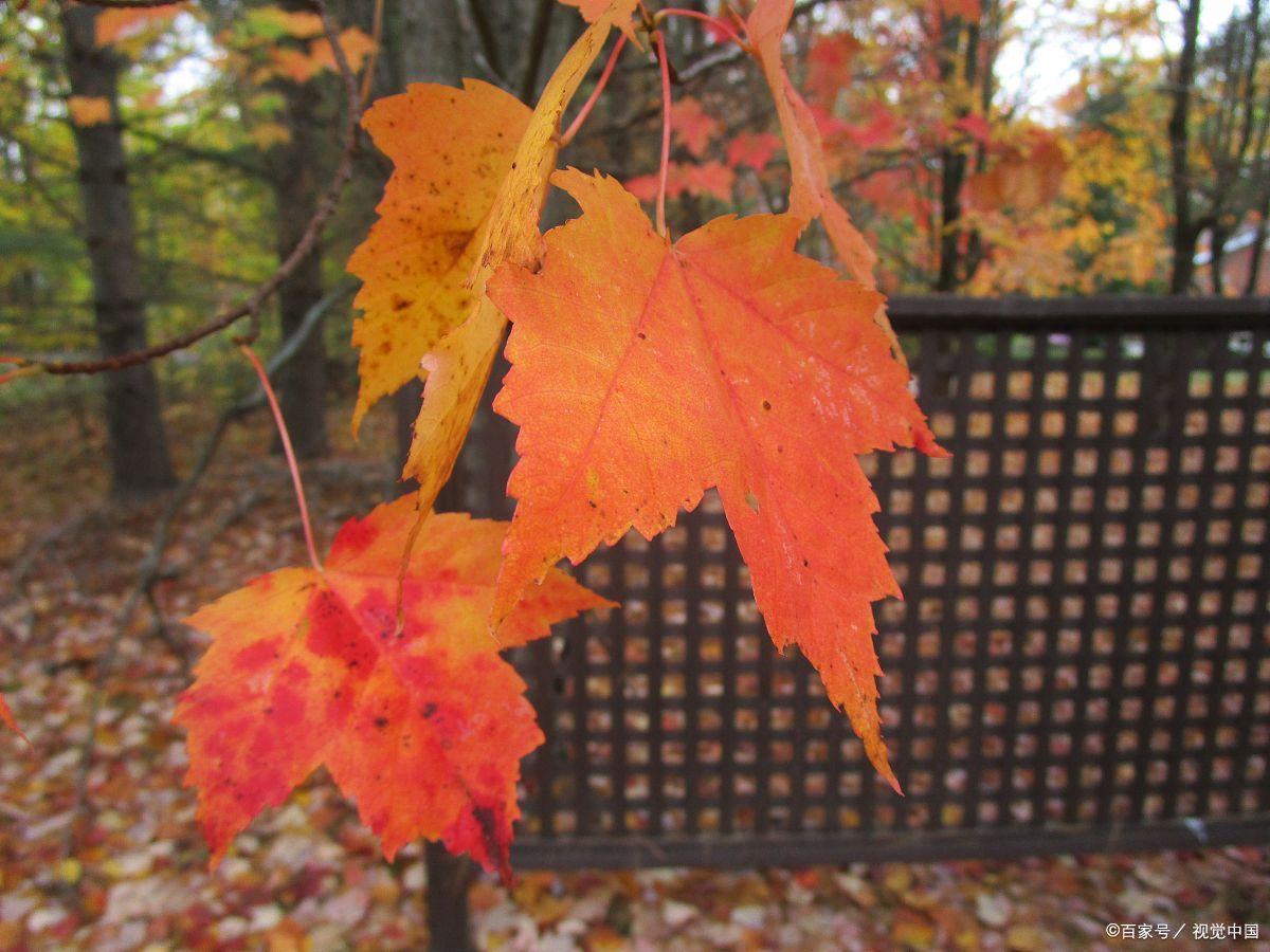 富人的思维方式 富人的思维方式