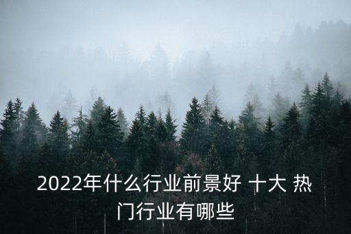 2022年什么行业前景好 十大 热门行业有哪些