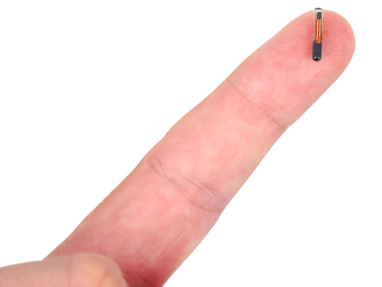 公司IT监控员工