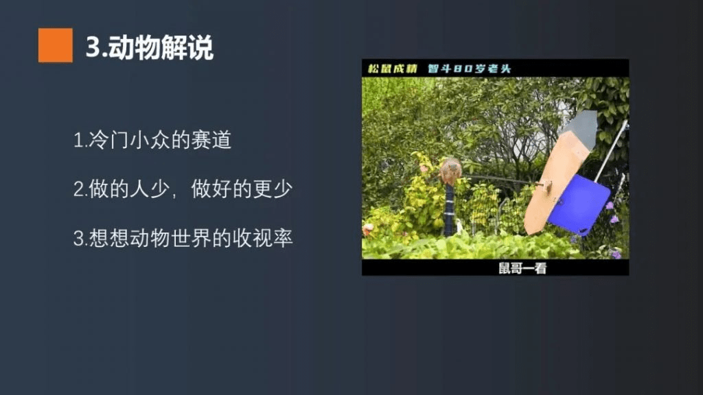 视频号做哪个赛道好