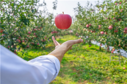 农民创业贷款怎么贷 农民创业贷款怎么贷