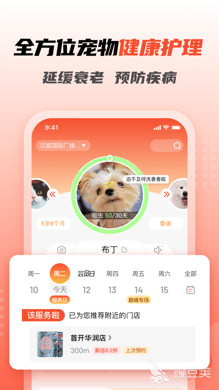 宠物交易平台哪个好