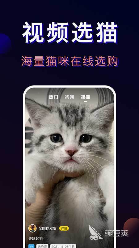 宠物交易平台哪个好