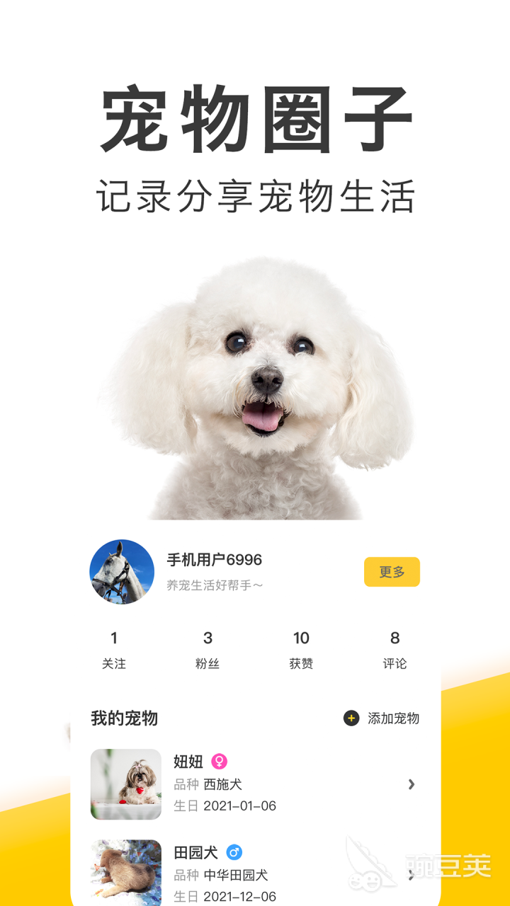 宠物交易平台哪个好