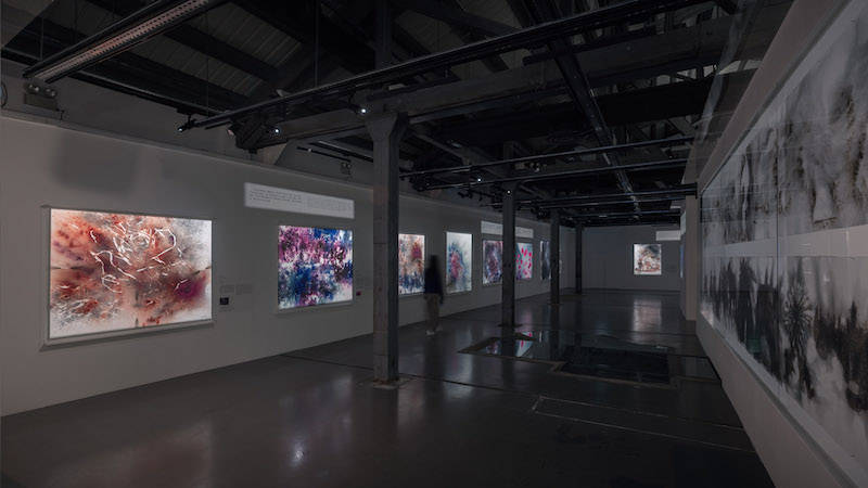 ai商标取名 ai商标取名