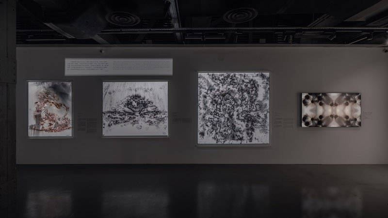 ai商标取名 ai商标取名