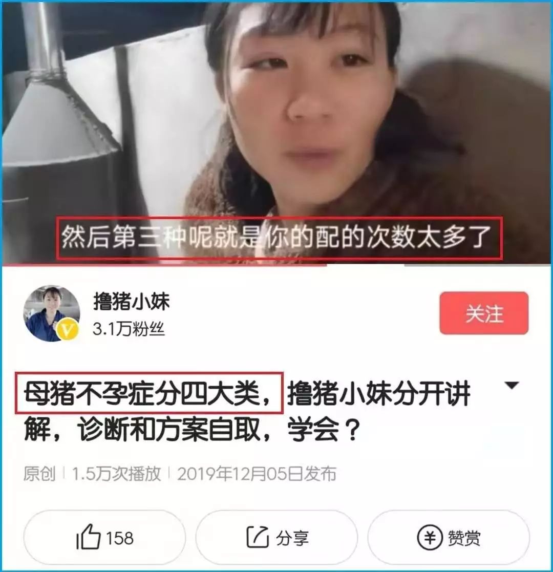 抖音知识付费项目怎么做