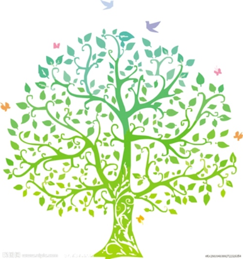 哪里可以学做蛋糕