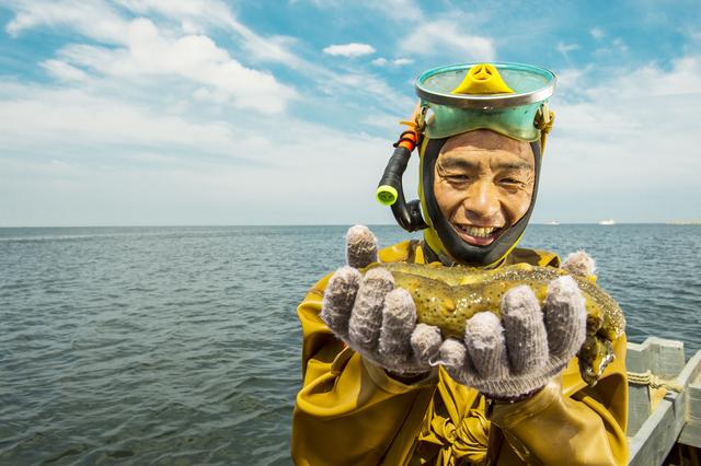 今年送礼流行送什么