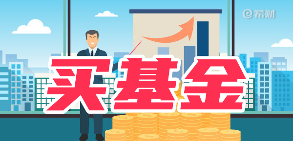 中低风险的基金能买吗