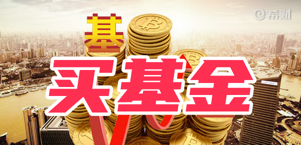 中低风险的基金能买吗