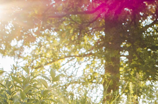 三伏天从什么时候开始至结束2024   初伏中伏末伏哪个最热