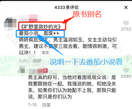 海外抖音, 番茄小说推文项目玩法介绍（推广方式+拉新关键词+打款）