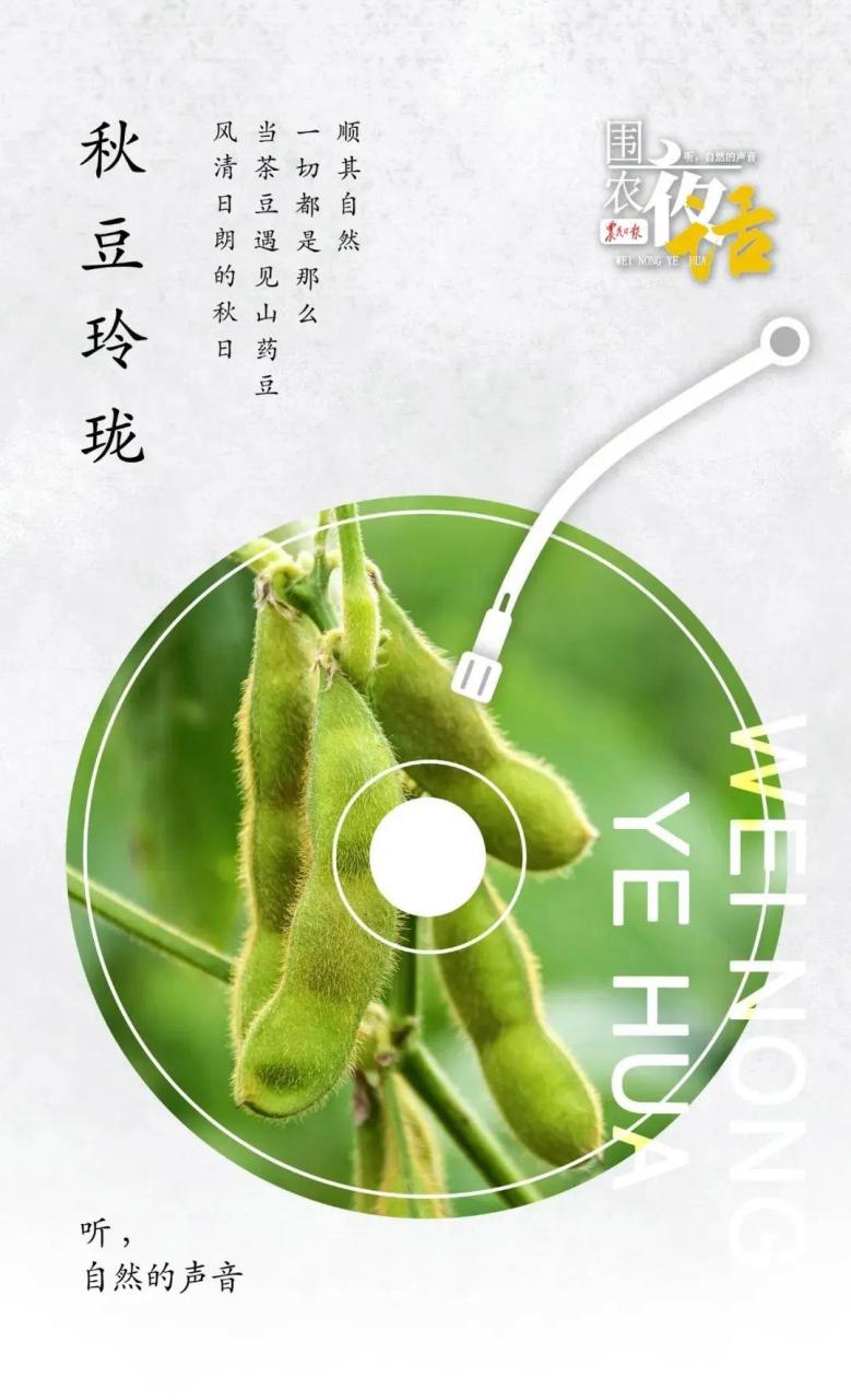 工作室做什么项目好