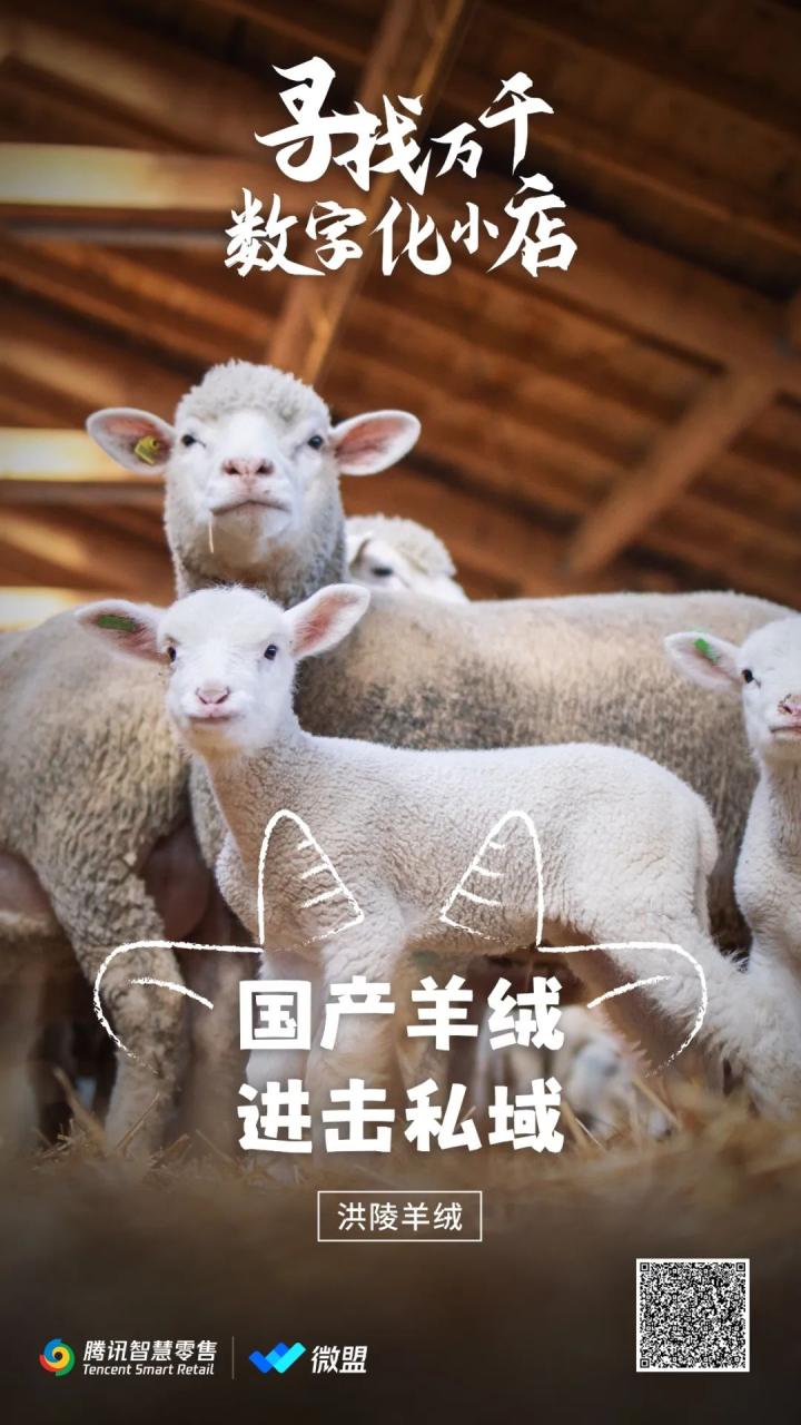 羊毛群运营怎么样 羊毛群运营怎么样