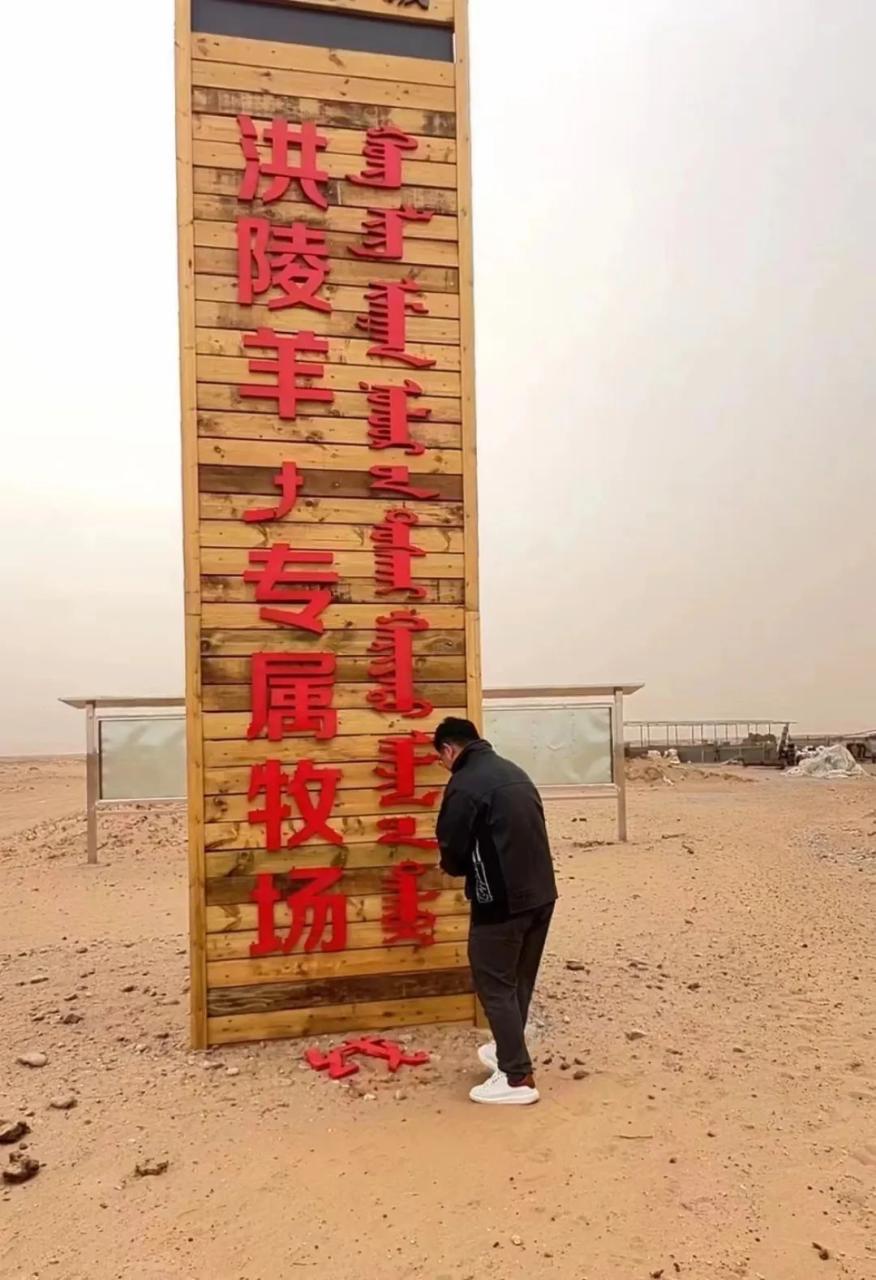 羊毛群运营怎么样 羊毛群运营怎么样