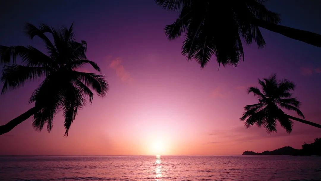 动画素材库免费 动画素材库免费