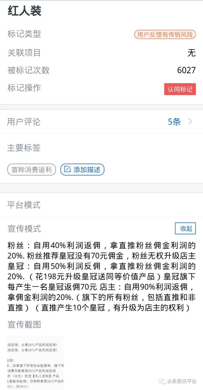 导购型社交电商