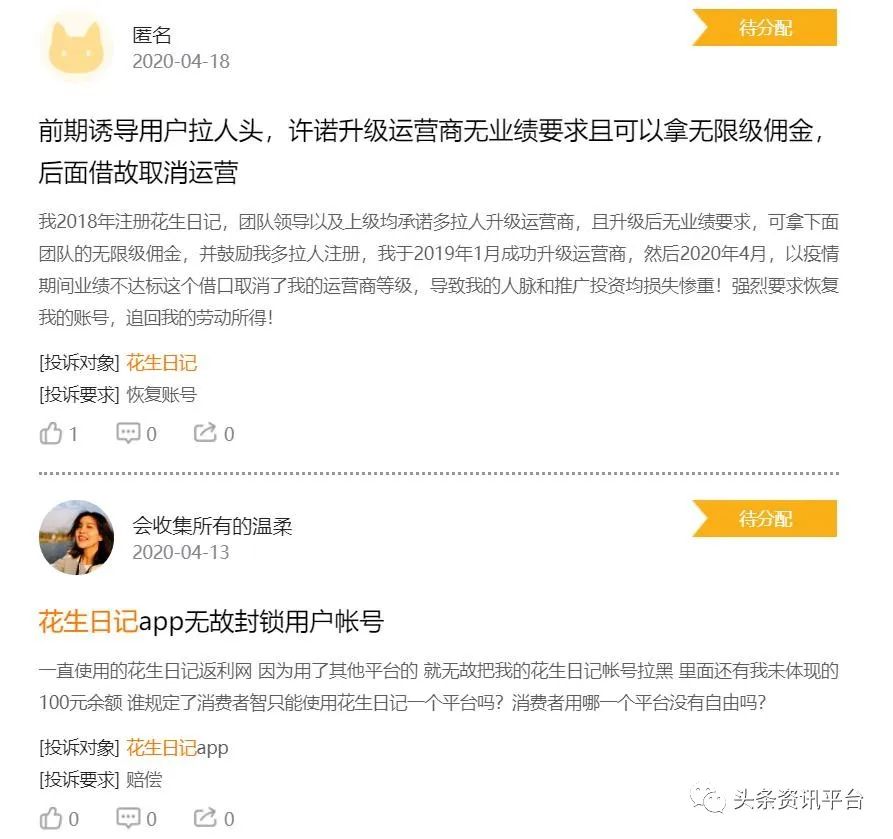 导购型社交电商