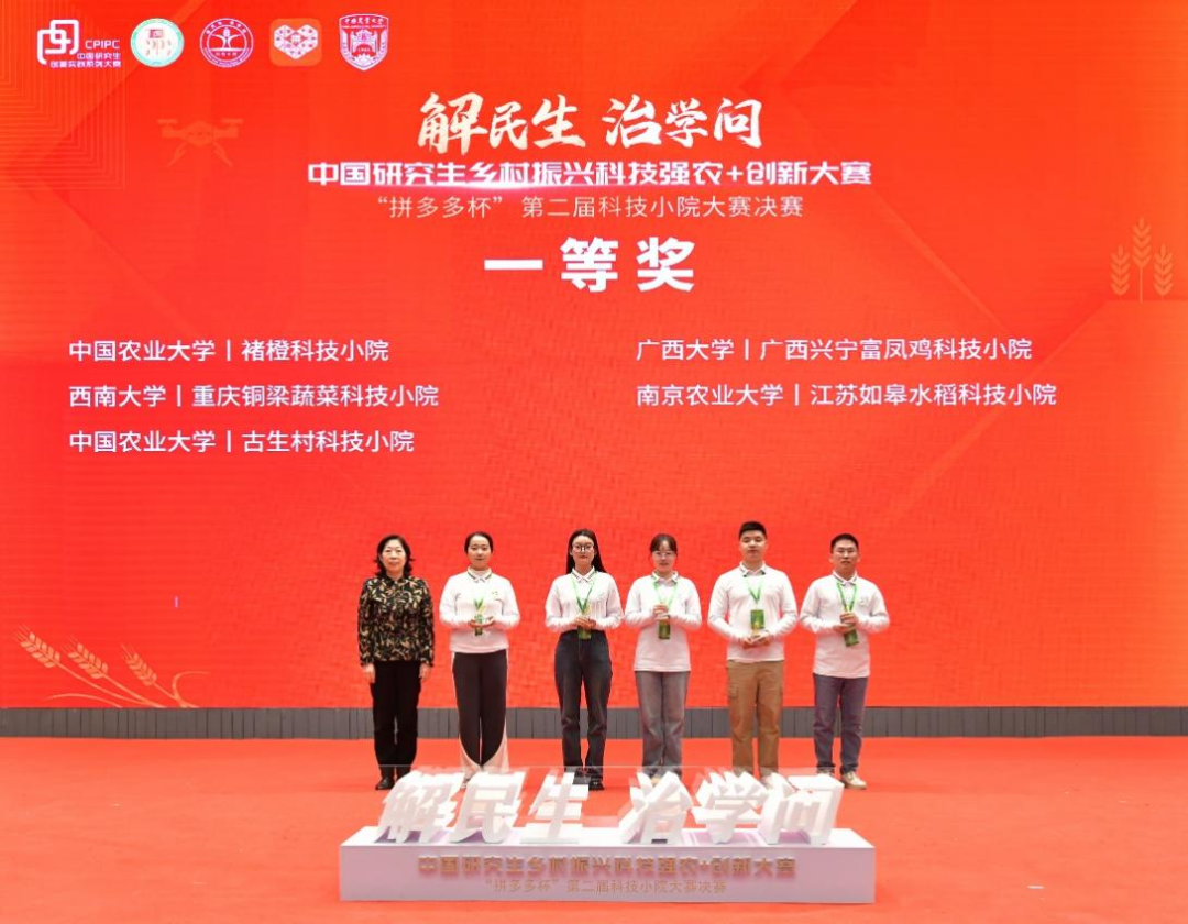 拼多多投流技巧