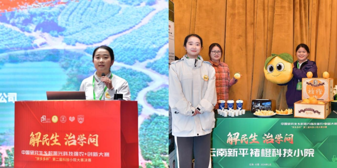 拼多多投流技巧