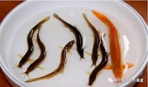 世界公认的十大抗衰老食物排行榜