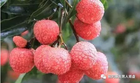 世界公认的十大抗衰老食物排行榜