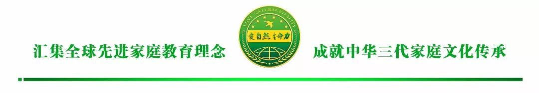 财富密码与财商思维 财富密码与财商思维