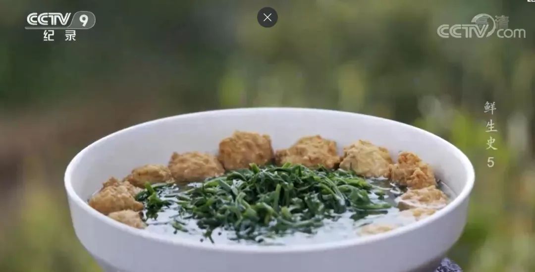 孩子寒假在家疯狂涨知识