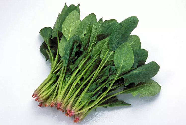 十大降糖食物排行榜