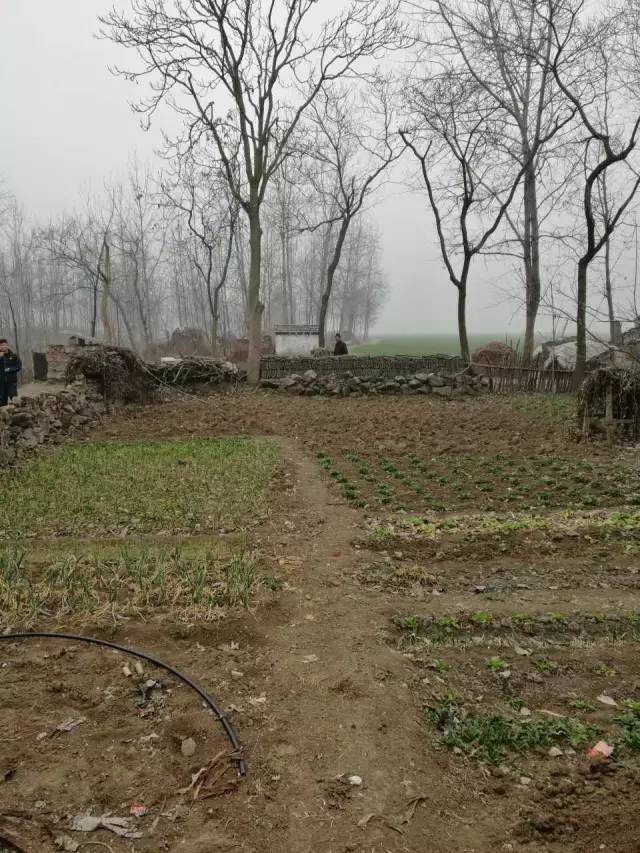 过年前两个月卖什么东西挣钱