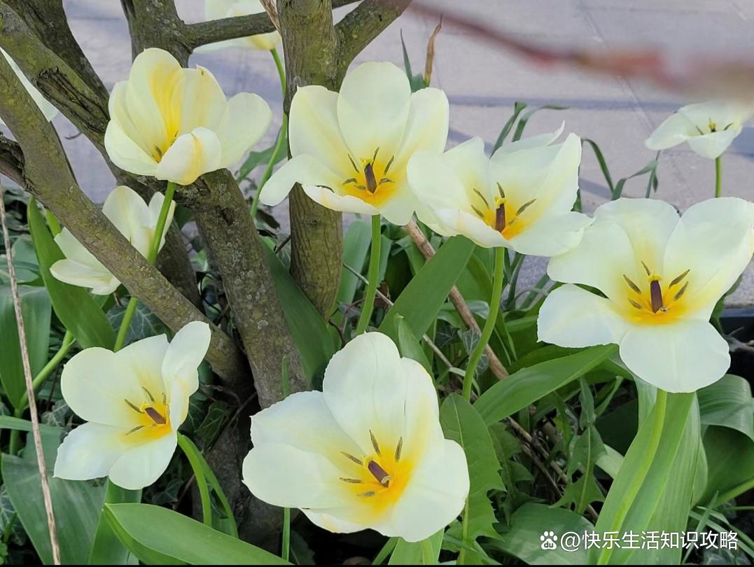 赚钱最快的四条路