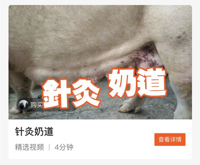 抖音知识付费项目怎么做