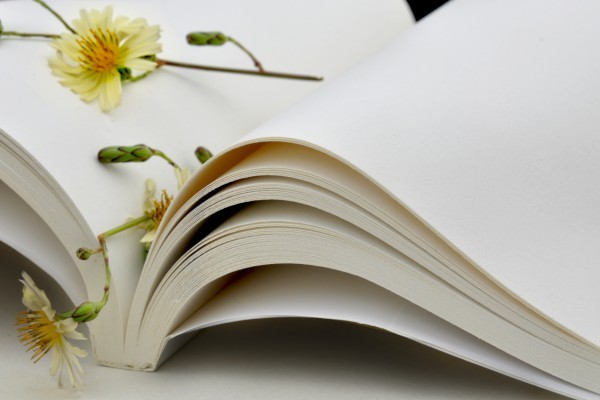 个人简历怎么写